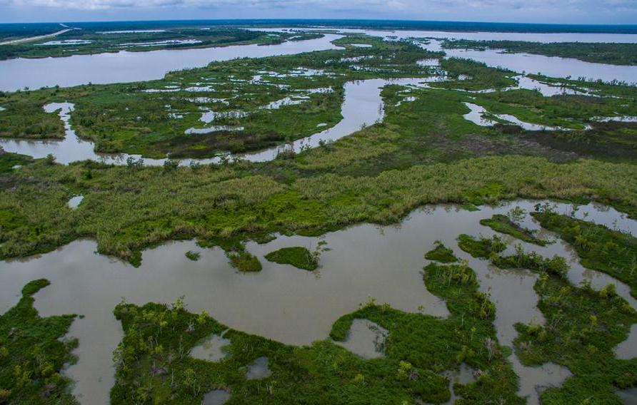 Louisiana bayou